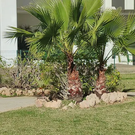 Miramar 2d Apartament *